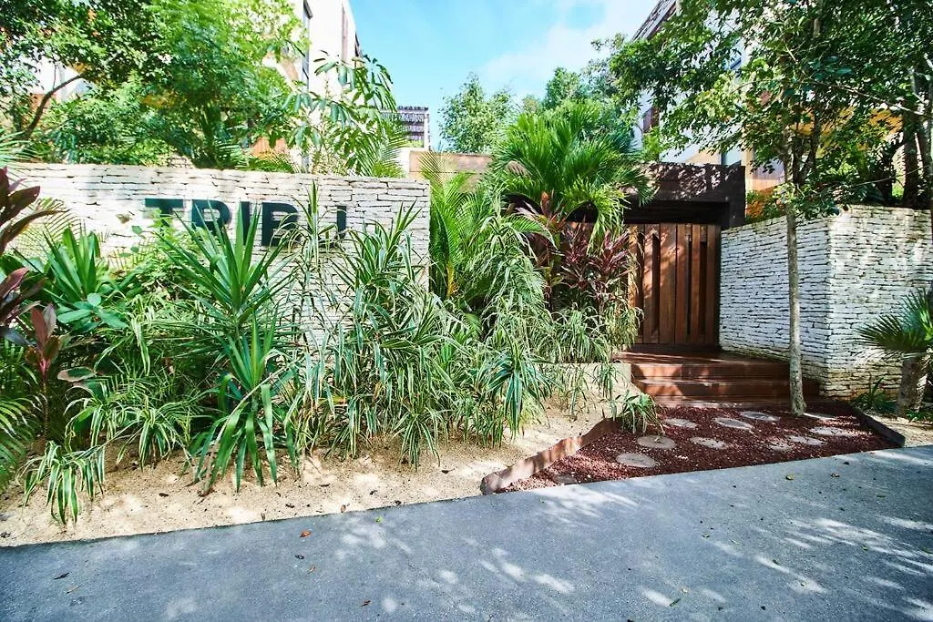 Tribu 306 Boho Design Gem In The Heart Of Tulum W/ Rooftop 0*,  Mexico